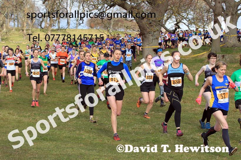 Senior womens 2022 Start Fitness NEHL, Alnwick, Northumberland. Photo: David T. Hewitson/Sports for All Pics